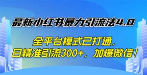 （12505期）最新小红书暴力引流法4.0， 全平台模式已打通，日精准引流300+，加爆微…-网创资源