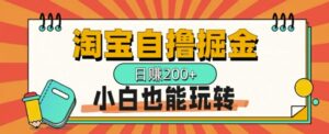 淘宝自撸掘金，一天2张，多号多撸，小白也能玩转-网创资源