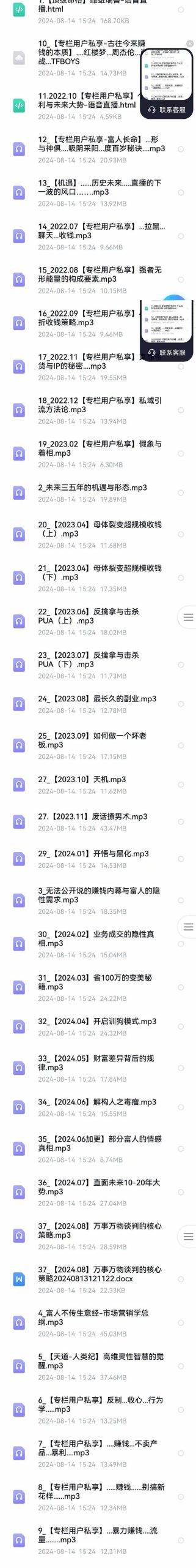 （12492期）全面剖析富人心法与商业实战，从思维到行动，一步步带你走向成功之路-网创资源