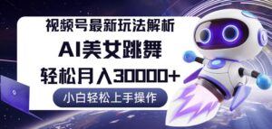 （12485期）视频号最新暴利玩法解析，小白也能轻松月入30000+-网创资源