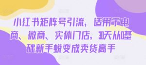 小红书矩阵号引流，适用于电商、微商、实体门店，30天从0基础新手蜕变成卖货高手-网创资源