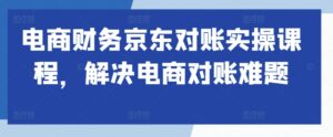 电商财务京东对账实操课程，解决电商对账难题-网创资源