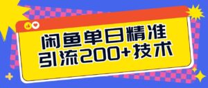 闲鱼单日引流200+技术，轻松好入手-网创资源