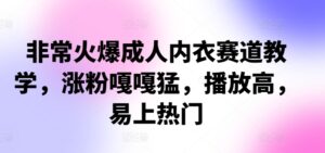 非常火爆成人内衣赛道教学，​涨粉嘎嘎猛，播放高，易上热门-网创资源