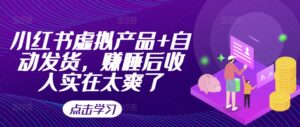 小红书虚拟产品+自动发货，赚睡后收入实在太爽了-网创资源