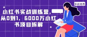 小红书实战训练营，从0到1，6000万小红书项目拆解-网创资源