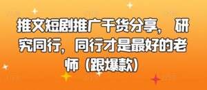 推文短剧推广干货分享， 研究同行，同行才是最好的老师 (跟爆款)-网创资源