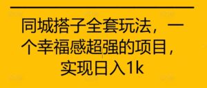 同城搭子全套玩法，一个幸福感超强的项目，实现日入1k【揭秘】-网创资源