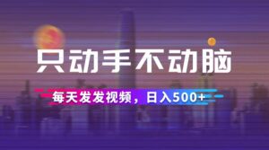 （12433期）只动手不动脑，每天发发视频，日入500+-网创资源