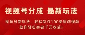 视频号新玩法，轻松制作100条原创视频，让你轻松突破千元收益!-网创资源