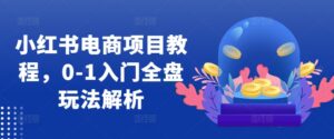 小红书电商项目教程，0-1入门全盘玩法解析-网创资源