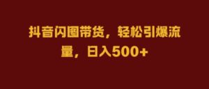 抖音闪图带货，轻松引爆流量，日入几张【揭秘】-网创资源