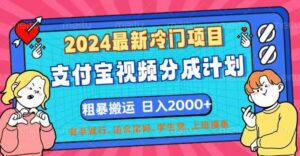 （12407期）2024最新冷门项目！支付宝视频分成计划，直接粗暴搬运，日入2000+，有…-网创资源