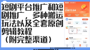（12406期）短剧平台推广和短剧推广，多种搬运玩法以及全套原创剪辑教程（附完整渠…-网创资源