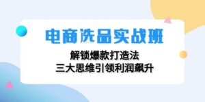 （12398期）电商选品实战班：解锁爆款打造法，三大思维引领利润飙升-网创资源