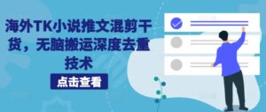 海外TK小说推文混剪干货，无脑搬运深度去重技术-网创资源