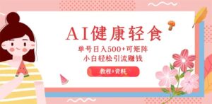 （12388期）AI健康轻食，单号日入500+可矩阵，小白轻松引流赚钱（教程+食谱）-网创资源