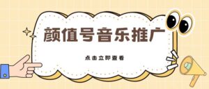全网首发美女号音乐推广，日入5张-网创资源