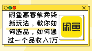 （12387期）闲鱼高客单卖货新玩法，教你如何选品，如何通过一个品收入1万+-网创资源