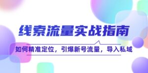 （12382期）线 索 流 量-实战指南：如何精准定位，引爆新号流量，导入私域-网创资源