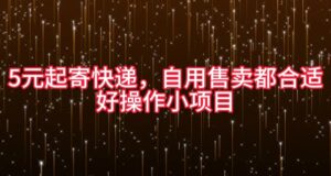 5元起寄快递，自用售卖都合适，好操作小项目-网创资源