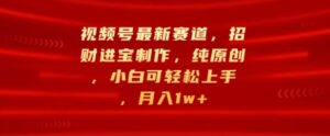 视频号最新赛道，招财进宝制作，纯原创，小白可轻松上手，月入1w+-网创资源