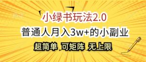 （12374期）小绿书玩法2.0，超简单，普通人月入3w+的小副业，可批量放大-网创资源