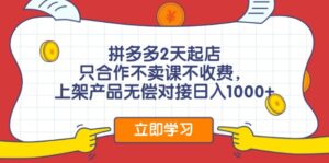 （12356期）拼多多0成本开店，只合作不卖课不收费，0成本尝试，日赚千元+-网创资源