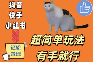 超简单玩法，有手就行，靠猫咪视频日入500+【揭秘】-网创资源
