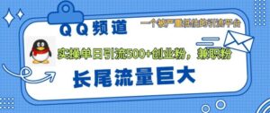 QQ频道靠长尾流量每日引流创业粉500+，实操月变现5K+-网创资源