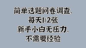 简单选题问卷调查，每天1张，新手小白无压力，不需要经验-网创资源