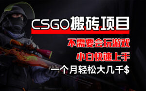 （12332期）CSGO 装备搬砖项目，操作简单，不需要会玩游戏，小白也能快速上手，一…-网创资源