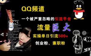 QQ频道，一个被严重忽略的引流平台，流量巨大 实操单日引流500+创业粉兼职粉【揭秘】-网创资源