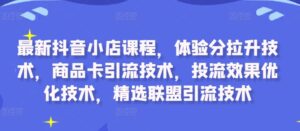 最新抖音小店课程，体验分拉升技术，商品卡引流技术，投流效果优化技术，精选联盟引流技术-网创资源
