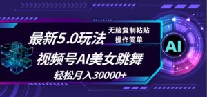 （12284期）视频号5.0最新玩法，AI美女跳舞，轻松月入30000+-网创资源