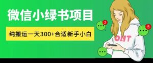 微信小绿书项目，纯搬运，日入300+，每天操作十分钟-网创资源
