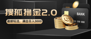 （12212期）搜狐撸金2.0最新玩法，无脑日入3000+，可无限扩大-网创资源