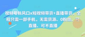视频号新风口x短视频带货+直播带货，全程只需一部手机，无需货源、0粉丝、可直播、可不直播-网创资源