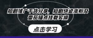 短剧推广干货分享，短剧快速涨粉及番茄锚点挂载实操-网创资源
