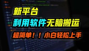 （12203期）B站平台用软件无脑搬运，月赚10000+，小白也能轻松上手-网创资源