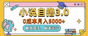 小说自撸3.0，解放双手，不浪费时间，适合大众-网创资源