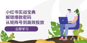 （12201期）小红书实战宝典：解锁爆款密码，从矩阵号到高效投放-网创资源