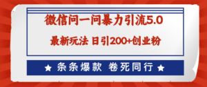 （12240期）微信问一问最新引流5.0，日稳定引流200+创业粉，加爆微信，卷死同行-网创资源