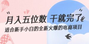 （12241期）月入五位数 干就完了 适合新手小白的全新火爆的电商项目-网创资源