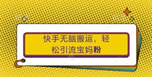 快手无脑搬运，轻松引流宝妈粉，纯小白轻松上手【揭秘】-网创资源
