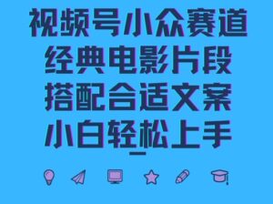 视频号小众冷门赛道，经典电影片段，搭配合适文案，小白轻松上手-网创资源