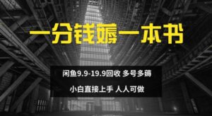 一分钱薅一本书 闲鱼9.9-19.9回收 多号多薅 小白直接上手-网创资源