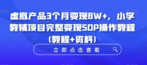 虚拟产品3个月变现8W+，小学教辅项目完整变现SOP操作教程(教程+资料)-网创资源
