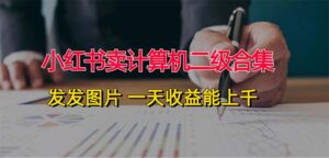 （12228期）小红书卖计算机二级合集，发发图片 一天收益能上千-网创资源