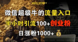 微信超级牛的流量入口，半小时引流100+创业粉，日涨粉1000+-网创资源